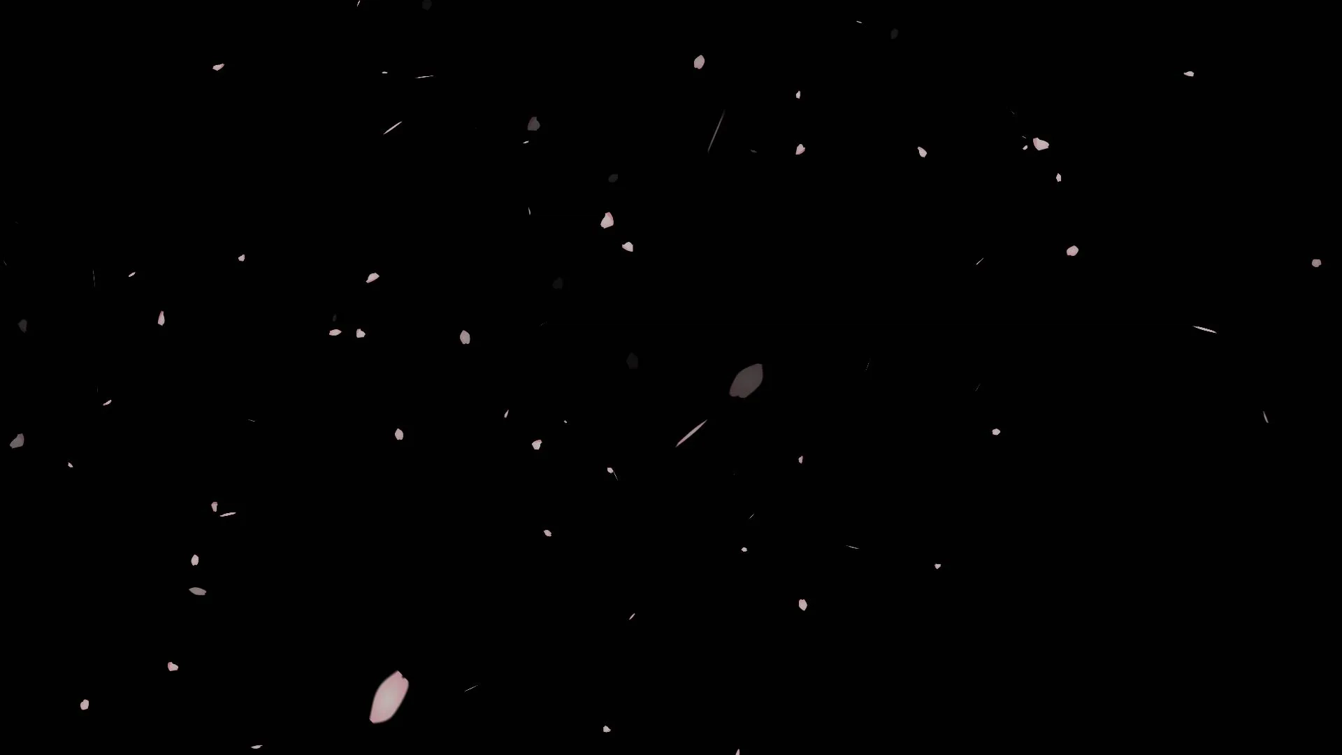 風に吹かれる桜の素材